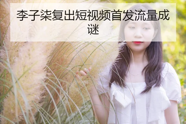 李子柒复出短视频首发流量成谜